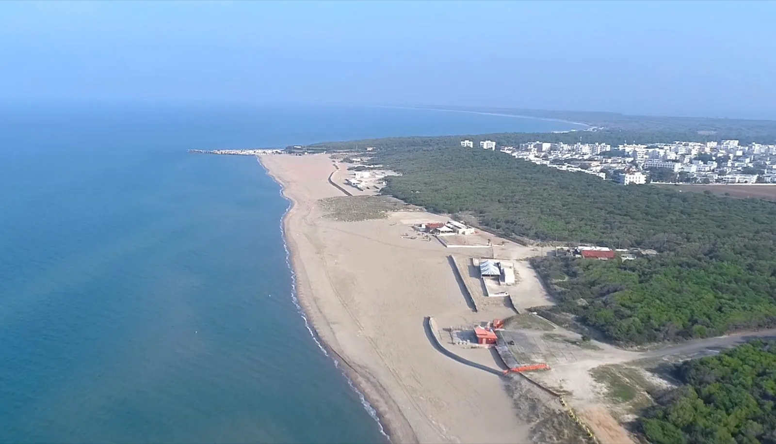 Veduta aerea della lunga spiaggia sabbiosa di Marina di Lesina, con la pineta alle spalle, le case bianche della località e il mare Adriatico